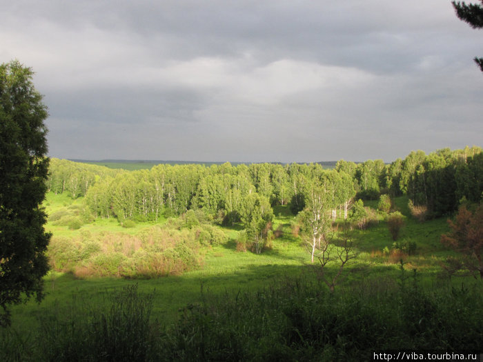 Рядом с моим домом есть замечательный лес Кемерово, Россия