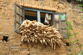 Кукурузу сушат на окнах домов
