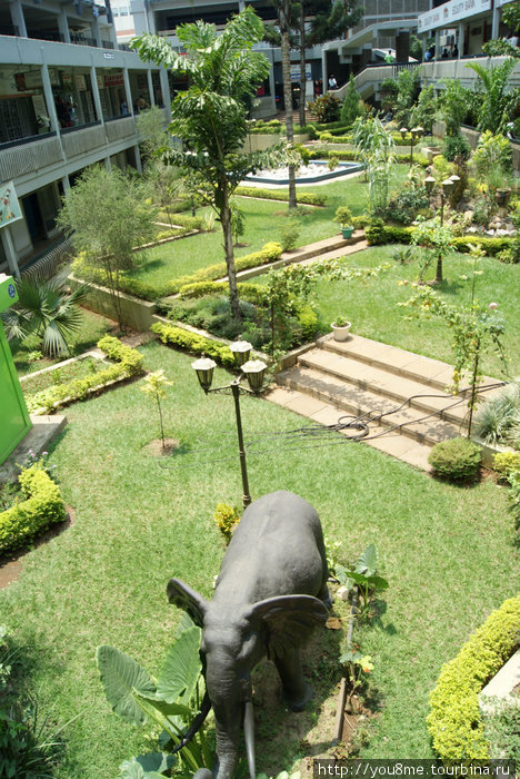 слоник рядом с торговым центром Кисуму, Кения