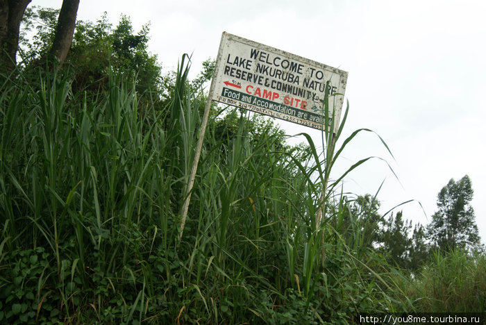 табличка в траве Рвензори Маунтинс Национальный Парк, Уганда