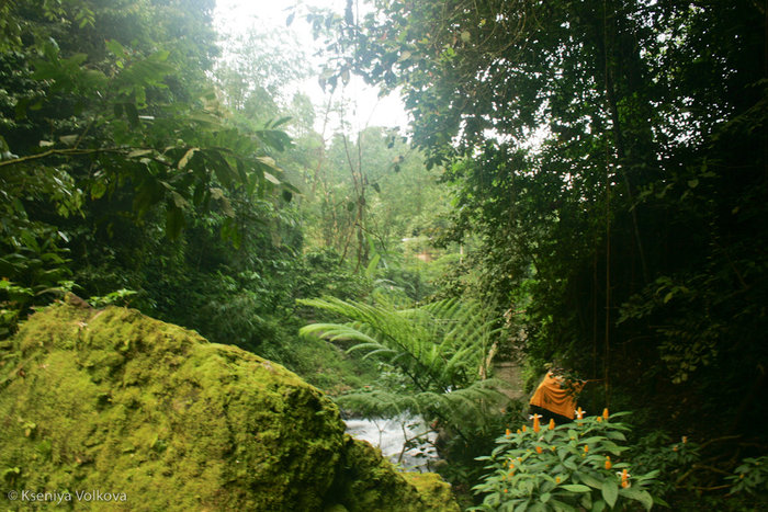 Водопады северного Бали: Мелантинг и другие Сингараджа, Индонезия