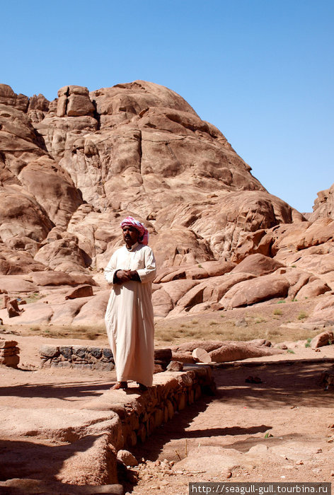 Пледиянец. Синай зан. Sinai Matarma. Sinai Matarma Bay.