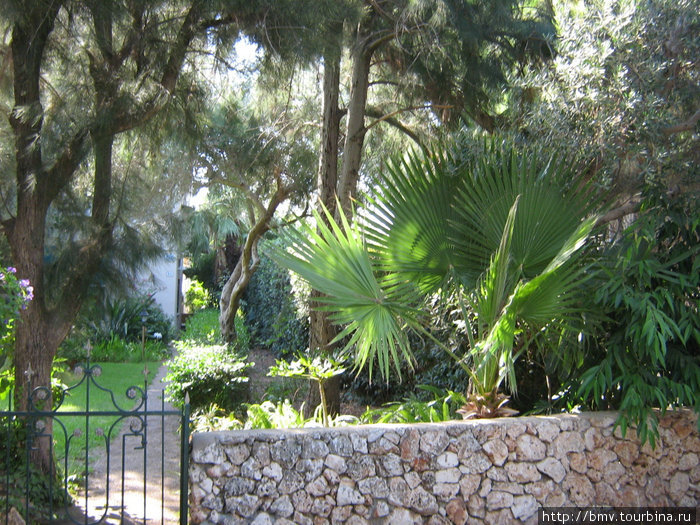 Парк Тахиона Хайфа, Израиль