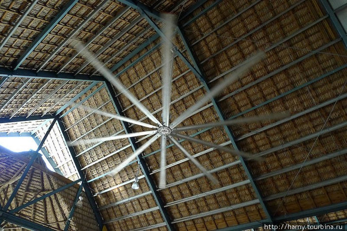 Кондиционера нет. Под крышей огромный вентилятор размером с вертолетный винт. Пунта-Кана, Доминиканская Республика