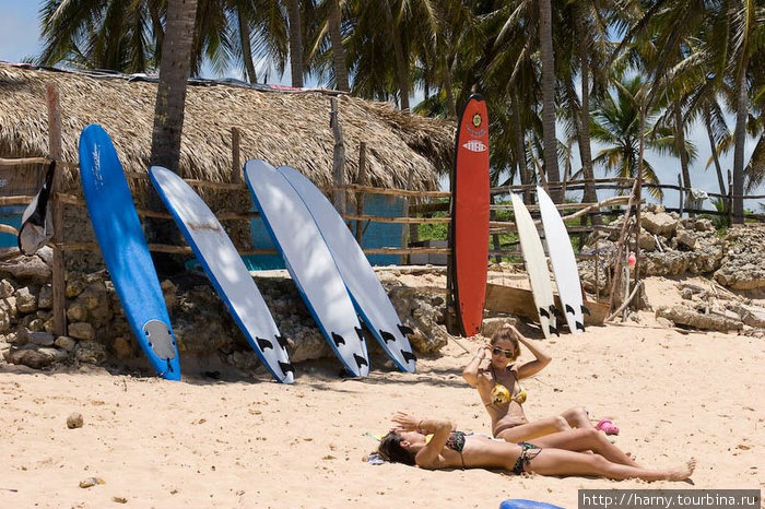 Единственный источник цивилизации на пляже — это Macao Surf Camp. Напомню, что пляж Макао — это единственный серфспот на восточном побережье. Макао, Доминиканская Республика