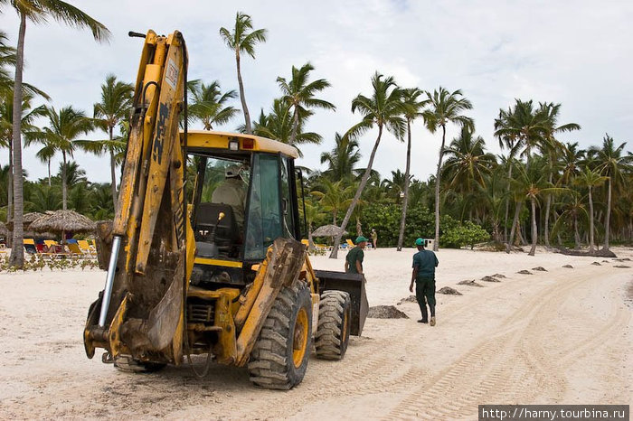 Рабочие при помощи трактора каждое утро чистят пляж от водорослей, которые приплыли за ночь. Доминиканская Республика