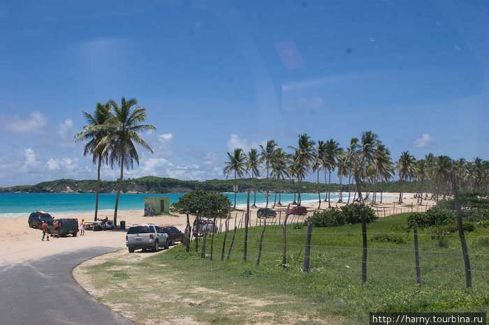 Доминикана: пляжи восточного побережья Доминиканская Республика