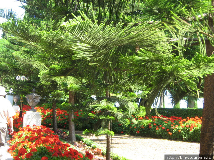 Бахайский сад Хайфа, Израиль