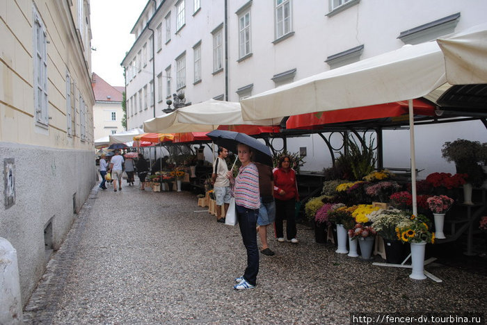 На улицах продают неприлично много цветов Любляна, Словения