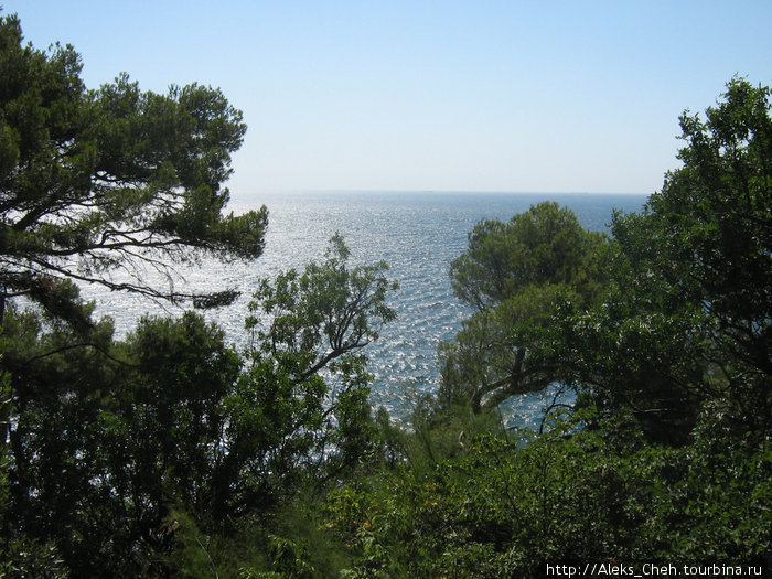 Алупкинские впечатления Алупка, Россия