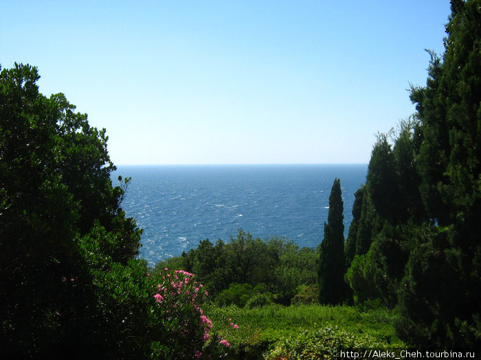 Алупкинские впечатления Алупка, Россия