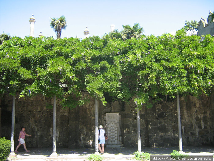 Алупкинские впечатления Алупка, Россия