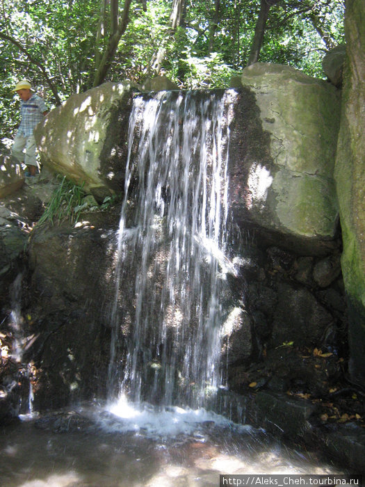 Алупкинские впечатления Алупка, Россия