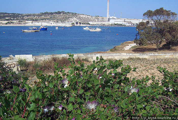 Берега в районе Марсашлокка Марсашлокк, Мальта