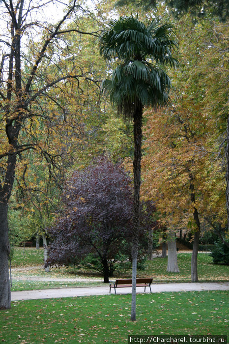 Осенняя пора - очей очарованье (Осенний Ретиро) Мадрид, Испания