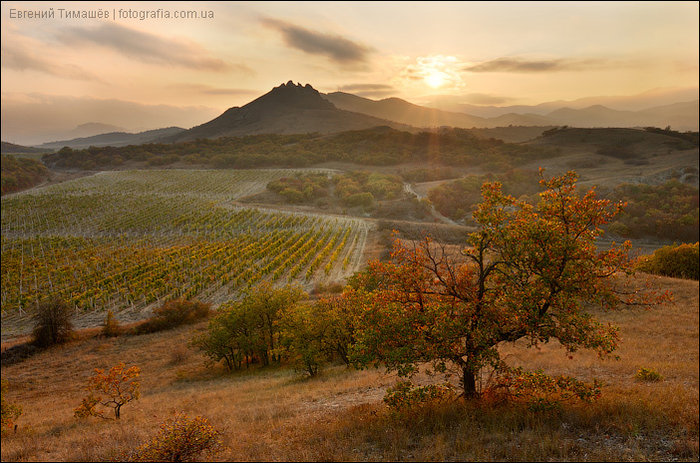 Крымская осень 2009 года Республика Крым, Россия