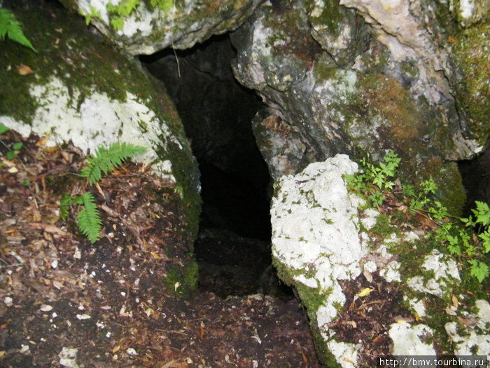 Вход в пещеру, где скрывались жители при набегах неприятеля. Новый Афон, Абхазия