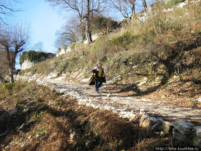 Дорога на Иверийскую гору Новый Афон, Абхазия