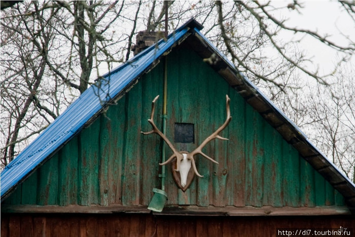 Домик охотника Луга, Россия
