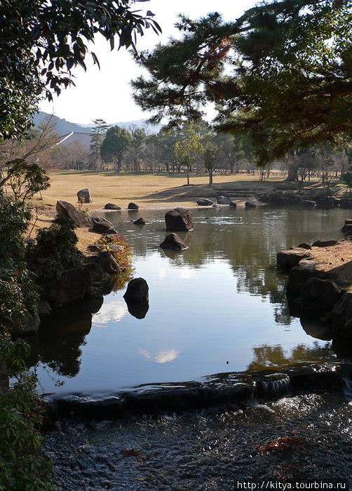 Утро в парке Нара Нара, Япония