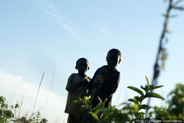 дружественные тени Рвензори Маунтинс Национальный Парк, Уганда