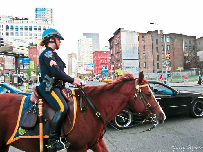 Женщина — конный полицейский в Адской Кухне. Нью-Йорк, CША