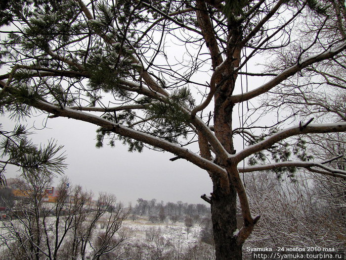 PS. А почти год спустя, вчерашний день 24 ноября 2010 года, отметился выпавшим накануне снегом и легким морозцем. Красногорск, Россия