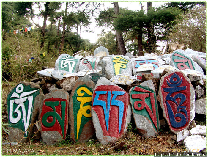 Далее в Гималаи... Штат Химачал-Прадеш, Индия