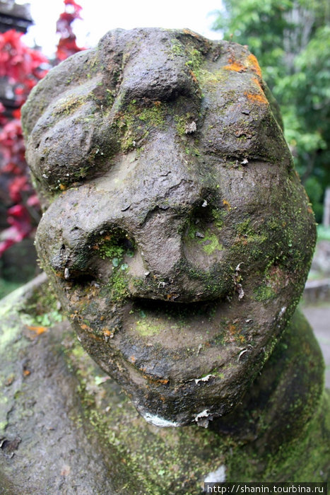 Каменное лицо Бали, Индонезия