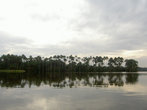 Озеро, или как называл его наш индеец, лагуна, кишащее пираньями. Здесь я и плавал.