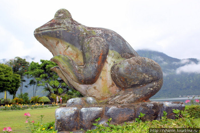 Гигантская каменная лягушка — дух озера Бали, Индонезия