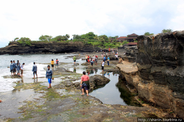 Паломники на берегу Танах-Лот, Индонезия