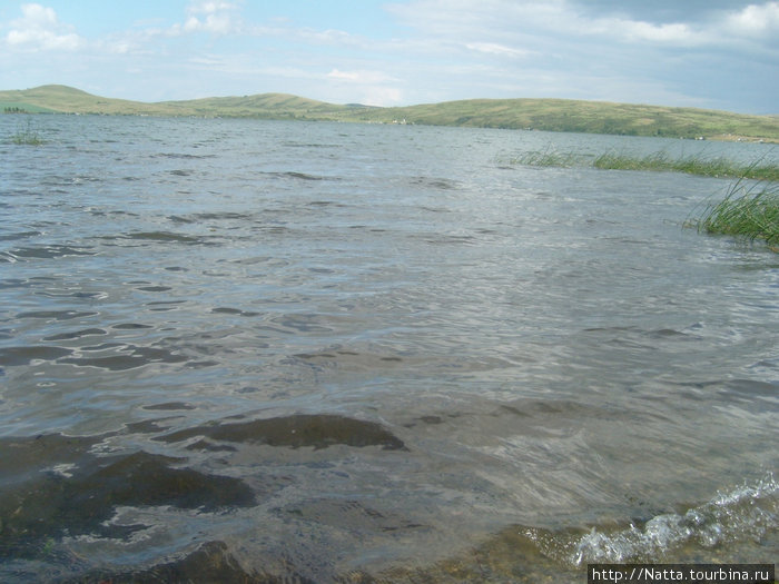 Озеро Белое Алтайский край, Россия