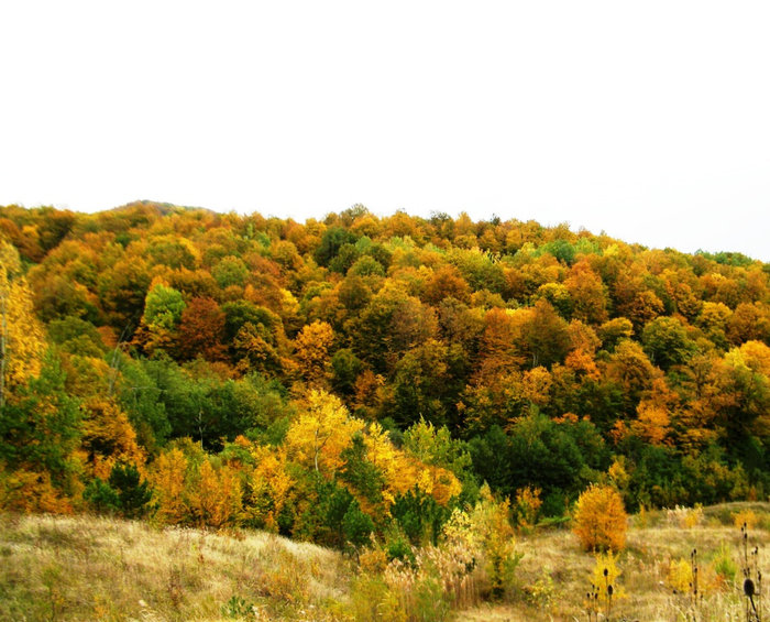 Осень в горах. Джубга, Россия