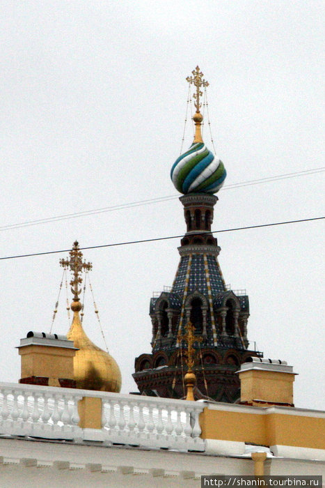 Верхушка церкви Спаса на Крови возвышается над зданием Русского музея