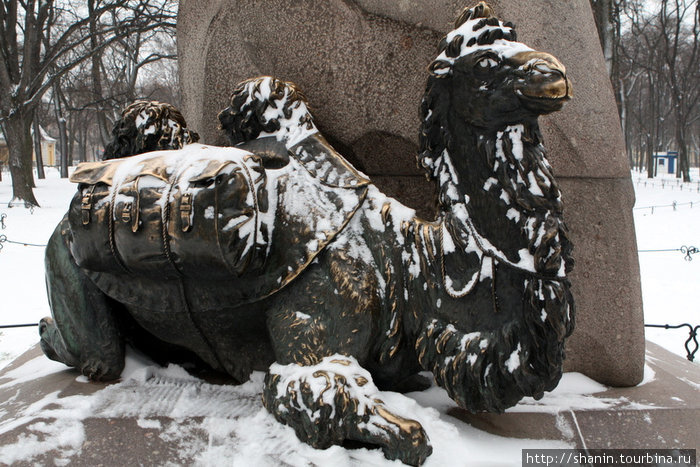 Верблюд под снегом Санкт-Петербург, Россия