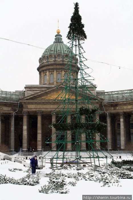 Выпал снег, пора ставить новогоднюю елку Санкт-Петербург, Россия