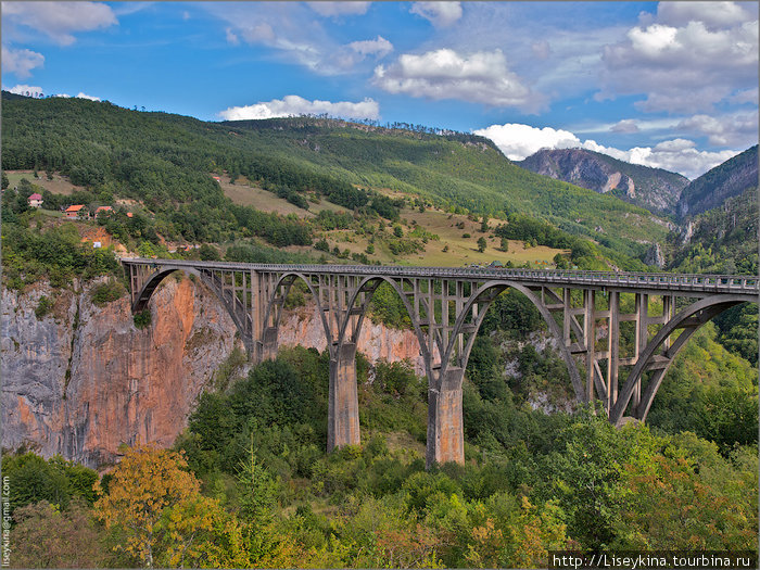 Мост Джурджевича через реку Тара Черногория