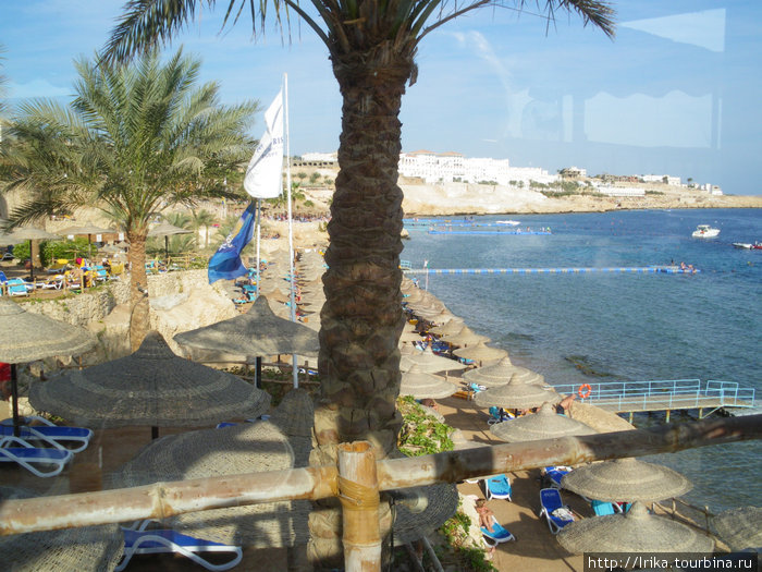 Пляжный отдых Шарм-Эль-Шейх, Египет