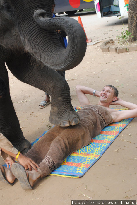 Погулка на слонах Таиланд