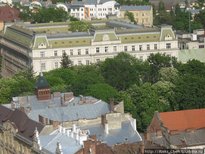 Прогулки  по Львову Львов, Украина