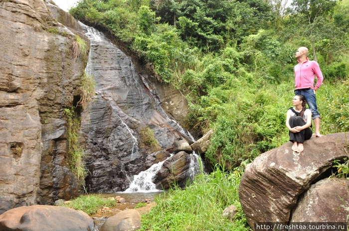 После завтрака отправились к водопадам по маркированной тропе, что ведет через заброшенную плантацию. Центральная провинция, Шри-Ланка