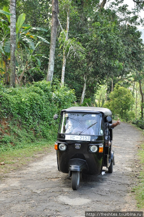 На обратном пути, у чайной плантации встретили вездесущий тук-тук... Нас приветствуют водитель и пассажиры. Центральная провинция, Шри-Ланка