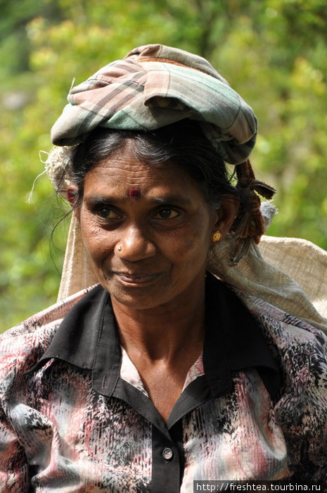 Сборщица чая, как и положено тамильским женщинам, с тикой на лбу. За спиной у нее корзина, куда сбрасываются сорванные листья... Норма в день — нешуточная: 12 кг. Мы ахаем, а она в ответ улыбается. Центральная провинция, Шри-Ланка