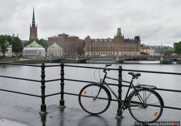 Самое популярное средство передвижения в Скандинавии Стокгольм, Швеция