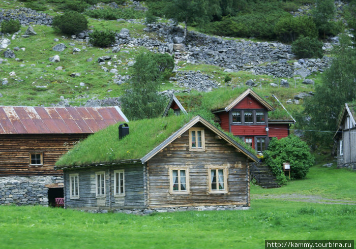 Я просто влюбилась в эти домики с зелеными крышами. И себе бы такой завела, но оказывается, что нужна специальная газонокосилка- стоит она правда недорого и еще молока дает. Козочкой называется :) Норвегия