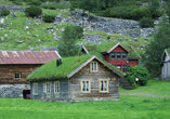 Я просто влюбилась в эти домики с зелеными крышами. И себе бы такой завела, но оказывается, что нужна специальная газонокосилка- стоит она правда недорого и еще молока дает. Козочкой называется :)