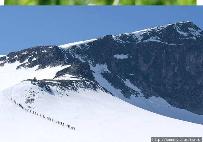 туристы в связке мелденно но уверенно покаряют тик скандинавских гор — гору Гельхеппиген Норвегия