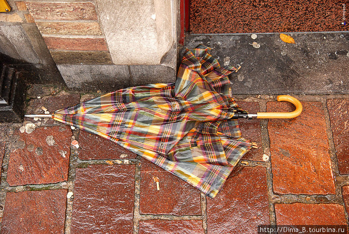 Даже если у зонта поломалась одна спица его выбрасывают. Брюгге, Бельгия