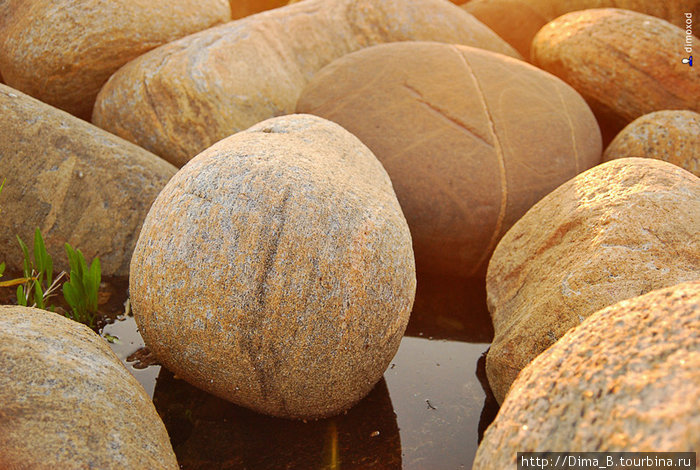 Камни похожи на яйца Соловецкие острова, Россия
